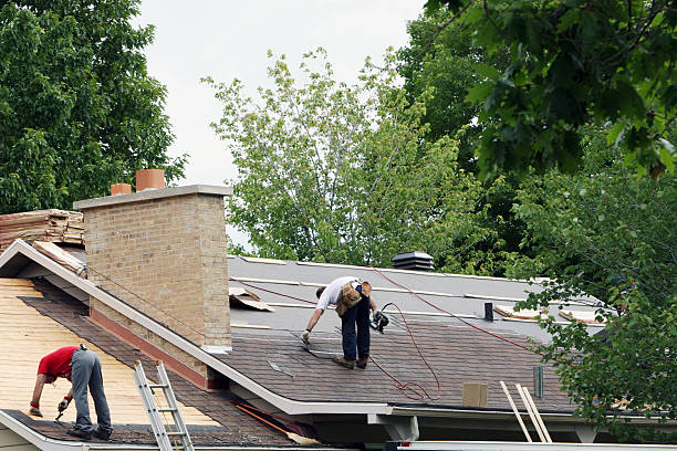 Best Gutter Installation and Roofing  in Alma, GA