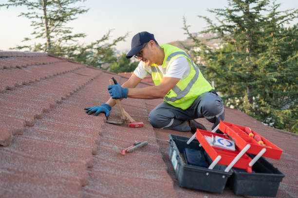 Best New Roof Installation  in Alma, GA