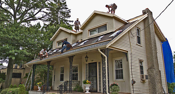 Best Local Roofing Companies  in Alma, GA