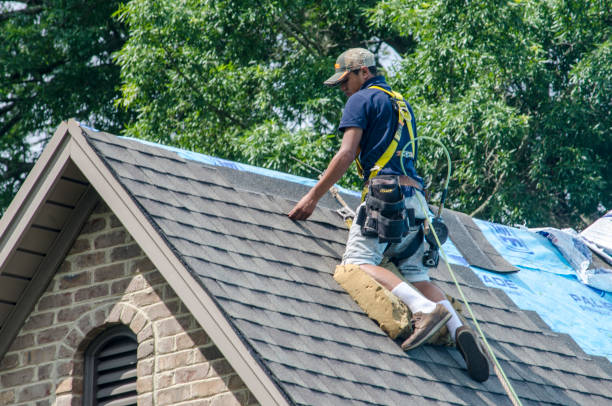 Best New Roof Installation  in Alma, GA